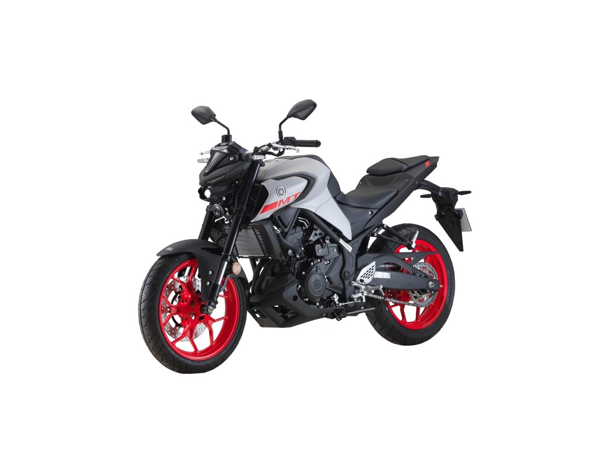YAMAHA MT250 MT320サービスマニュアル 2016 Yamaha MT-25 ( MTN250