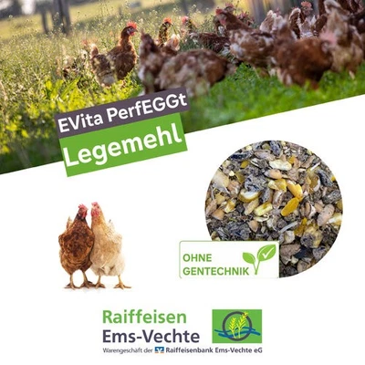 RAIFFEISEN EMS-VECHTE Legemehl 20kg EVita Hühnerfutter Futtermehl für Geflügel Hühnerfutter Legefutter