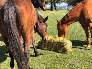 square bale slow feeder