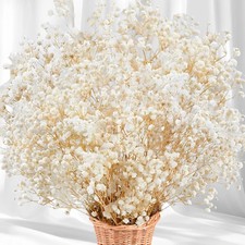 5000 Dried Babys Breath Flowers Bulk 17" Ivory White Dried Flower Bouquet