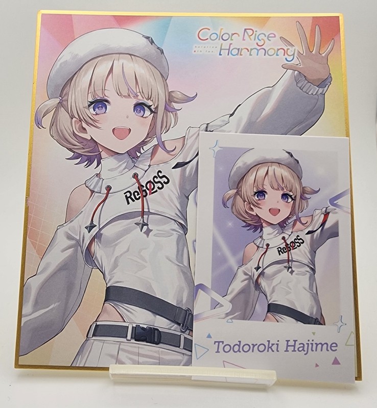 Todoroki Hajime Hololive 6th fes Color Rise Harmony Shikishi Message Board Cheki