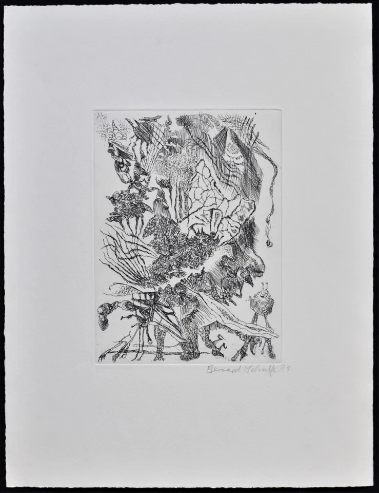 Bernard Schultze Grafik Migof Gestrüpp 1 Radierung signiert - Bild 2 von 4