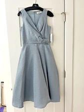 Teri Jon by Rickie Freeman: Elegant Dress with Accent Beads, Size 4, New!