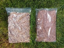 PIGEON CONDITIONER & MAPLE PEAS (UNPREPARED) 2 KG - CARP FISHING 4.48 per kilo