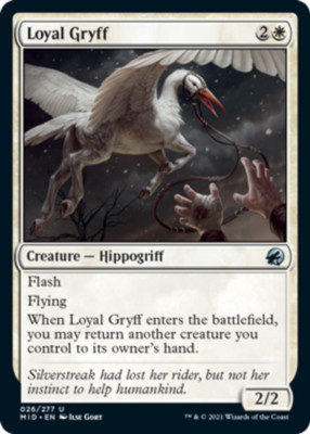 Loyal Gryff Light Play, English Magic the Gathering MTG Innistrad: Midnight Hunt