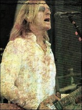 Davey Johnstone Gibson Explorer guitar 8 x 11 pin-up artwork photo print