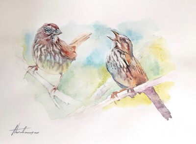 Brown Song Sparrow 120, Watercolor artwork, Handmade, Original painting on paper