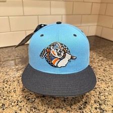 Vtg 90s Charlotte Checkers ECHL New Era 5950 Hat Snapback Made in USA Deadstock