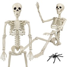 36" Life-Size Posable Skeleton Halloween Decoration w/ 20 Spiders - 3ft Tall