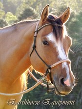 Earthhorse Equipment,V Brow bitless bridle OLIVE/beige/brown zz