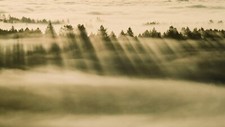 Landscape nature trees forest clouds mist sun rays Custom Gaming Mat Desk