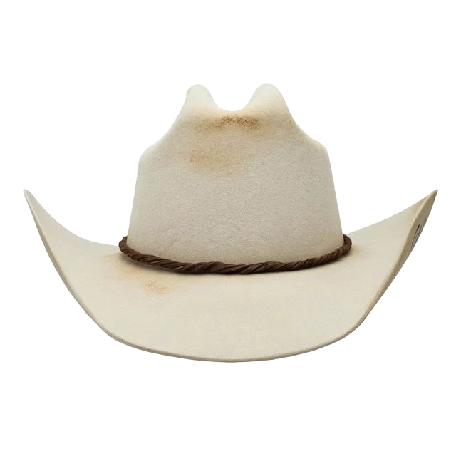 Charlie 1 Caballo X Lainey Wilson Damas Torbellino Rancho Bronceado Sombrero CWWHWD-7240D4 Foto 2 de 4