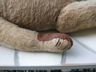 Bild 6 von 19
