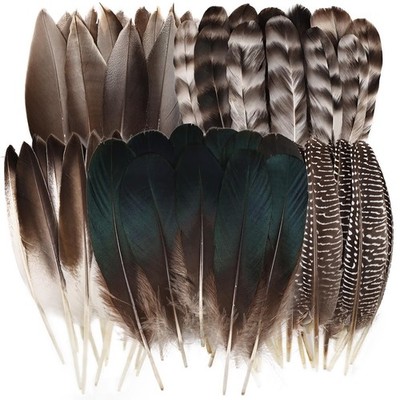 30pcs Pheasant Feathers -5 Style Natural Mixed Decorative Spotted Feathers fo...