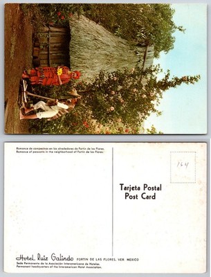 Fortin De Las Flores Mexico Hut Children Postcard