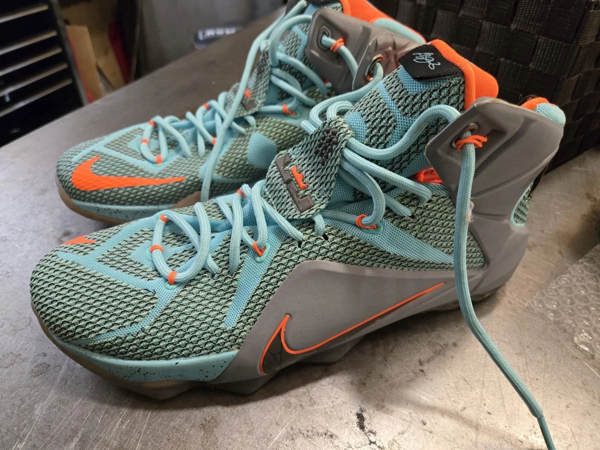 Nike LeBron XII Men's Sneakers for Sale | Authenticity Guaranteed