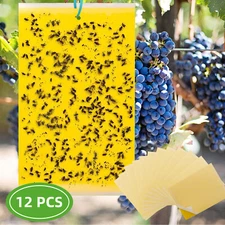 12 Pcs Fruit Fly Gnat Trap Hanging Sticker Sticky Bug Flies Insect Glue Catcher