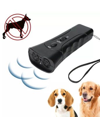 yorkie bichon hypoallergenic