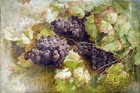 fruits pattern grapes G. Segantini Tile Mural Bathroom Backsplash Marble Ceramic