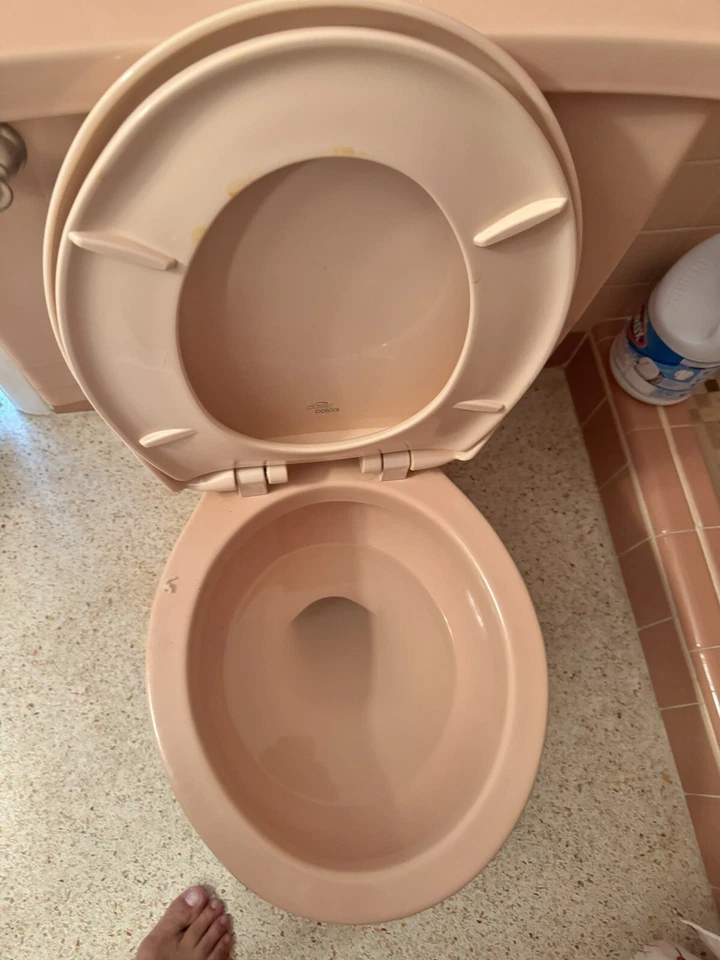 Antigo Vaso Sanitário Completo de Porcelana Rosa Meio Século Rheem Richmond - Conjunto Completo - Imagem 2 de 4