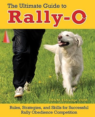 The Ultimate Guide to Rally-O: Rules, Strategies, and Skills for Successful R...