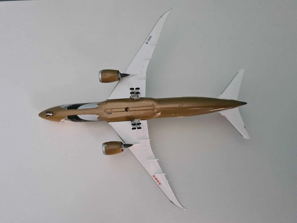 Hainan Airlines	Boeing 787-9	B-1343	Kung Fu Panda 4 Gold - KP4 - Immagine 3 di 3