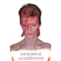 "David Bowie - Poster \"Aladdin Sane\" (TA8336)"