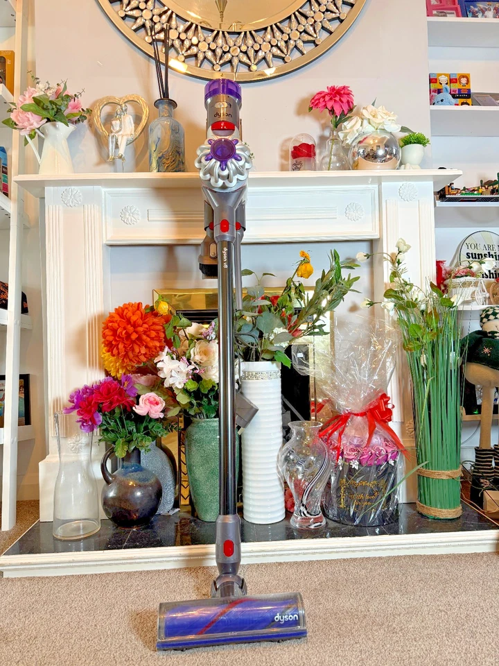 Dyson V8 Cordless Vacuum Cleaner -, photo 1 of 5