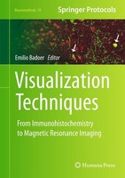 Visualization Techniques Emilio Badoer