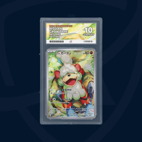 Hisuian Growlithe - 075/066 - 2024 Crimson Haze - Japanese - ACE GEM MINT 10