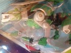 Foto 9 di 12