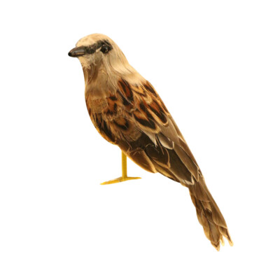 Neue künstliche Vogel realistische Spatz Taxidermie Figur Garten Home Decor # 1