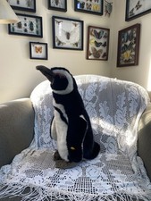 Steiff Penguin Plush 063657