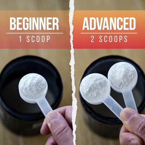 Alpha Lion Core Pre Workout Supplement Powder w/ Creatine - Energy & Performance - Picture 6 of 8