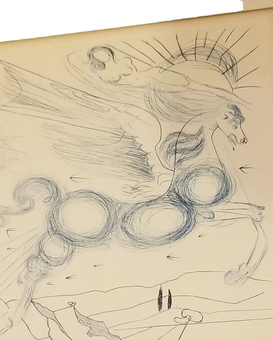 Salvador Dali Art Drawings