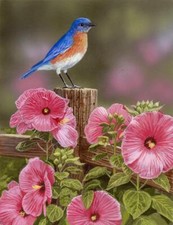 Ceramic Backsplash Tile Mural Bird Kitchen/Bathroom - Bluebird with Hibiscus