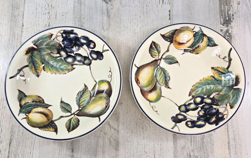 Pier 1 Macintosh 2 Coupe Soup Bowls Italy 8.5"