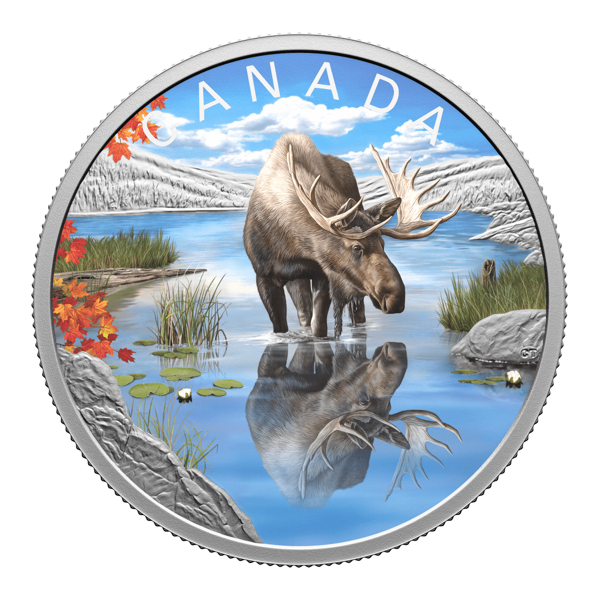 2024 Canada Wildlife Reflections Moose 1 oz Silver Colorized Proof Coin