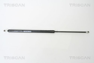 Gasfeder Dämpfer Heckklappe Set Links Rechts für Mazda 2 DY 2003 - 2007