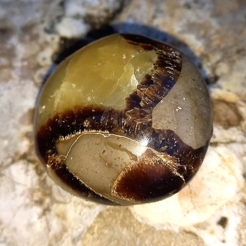 Septarie Handschmeichler Madagaskar Drachenstein Lebenswandel  Konzentration P