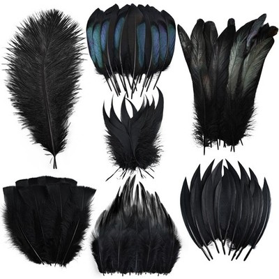 160 PCS Black Feathers Bulk 7 Style Mixed Decorative Pheasant Ostrich Craft