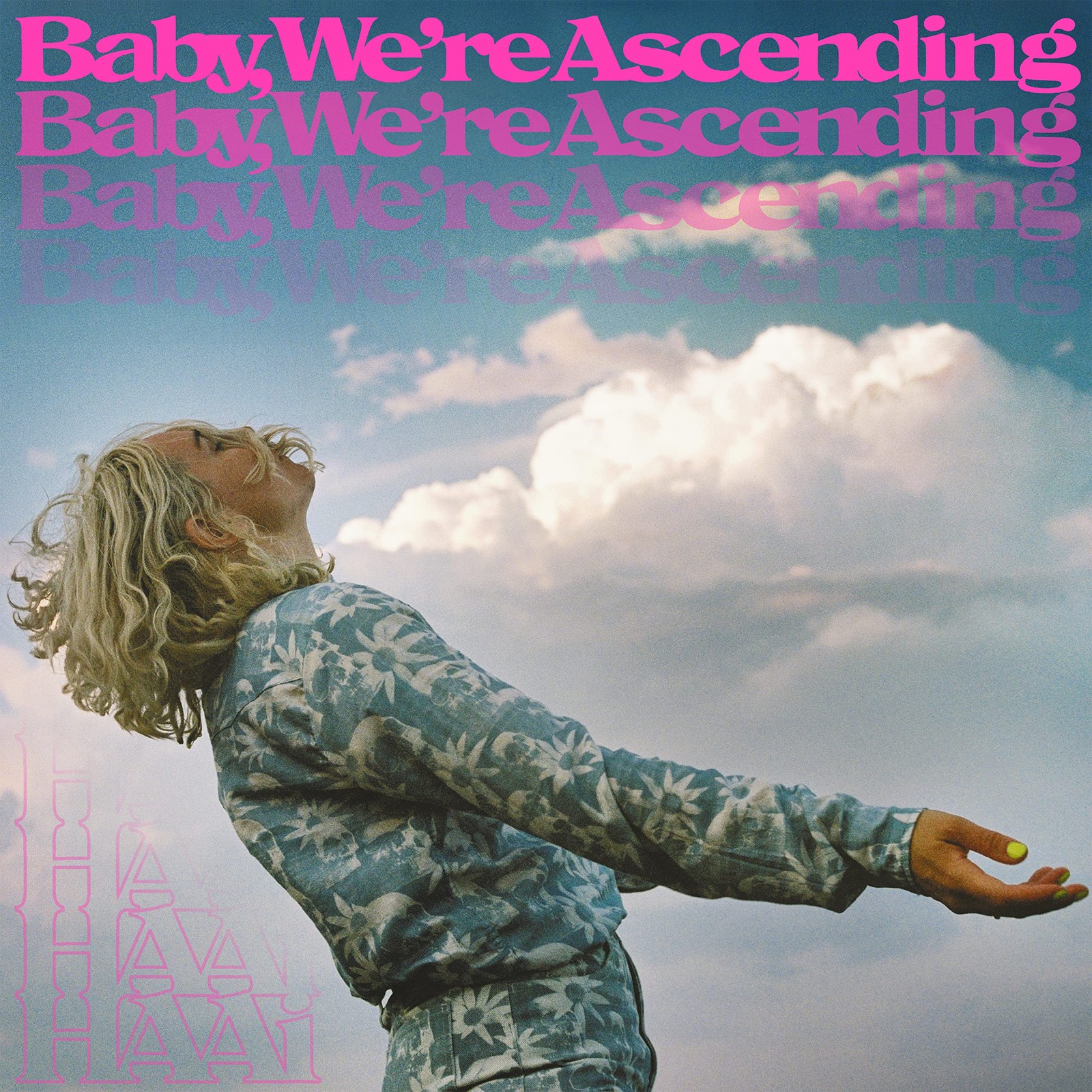 Haai Baby, We're Ascending Double LP Vinyl STUMM475 NEW