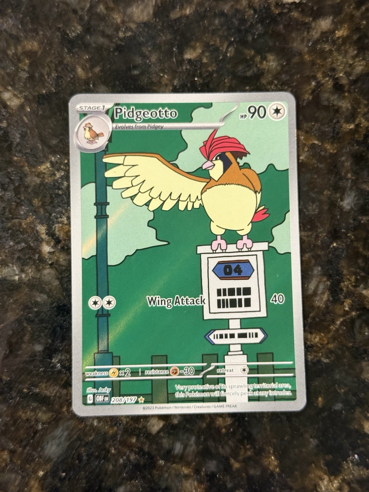 Pokémon TCG Pidgeotto 208/197 Holo Illustration Rare Obsidian Flames