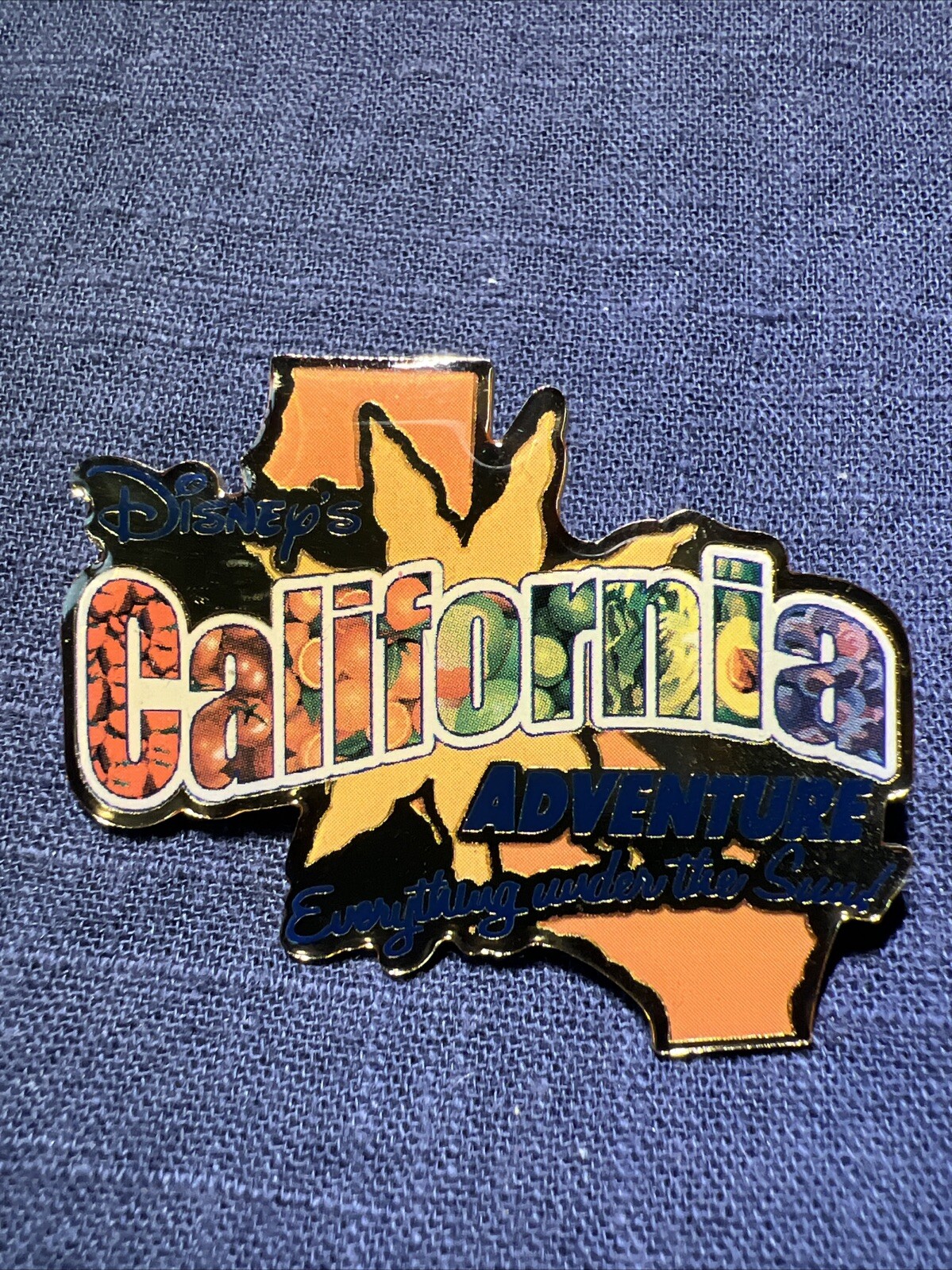California Disneyland Disney Trading Pin DCA KG Everything Under the Sun