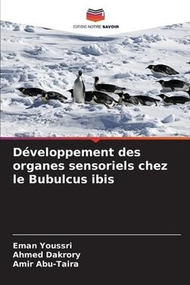 Dveloppement des organes sensoriels chez le Bubulcus ibis by Eman Youssri (Frenc