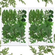 42 Pieces Dried Pressed Leaves for Resin Real Various Shades of Green 