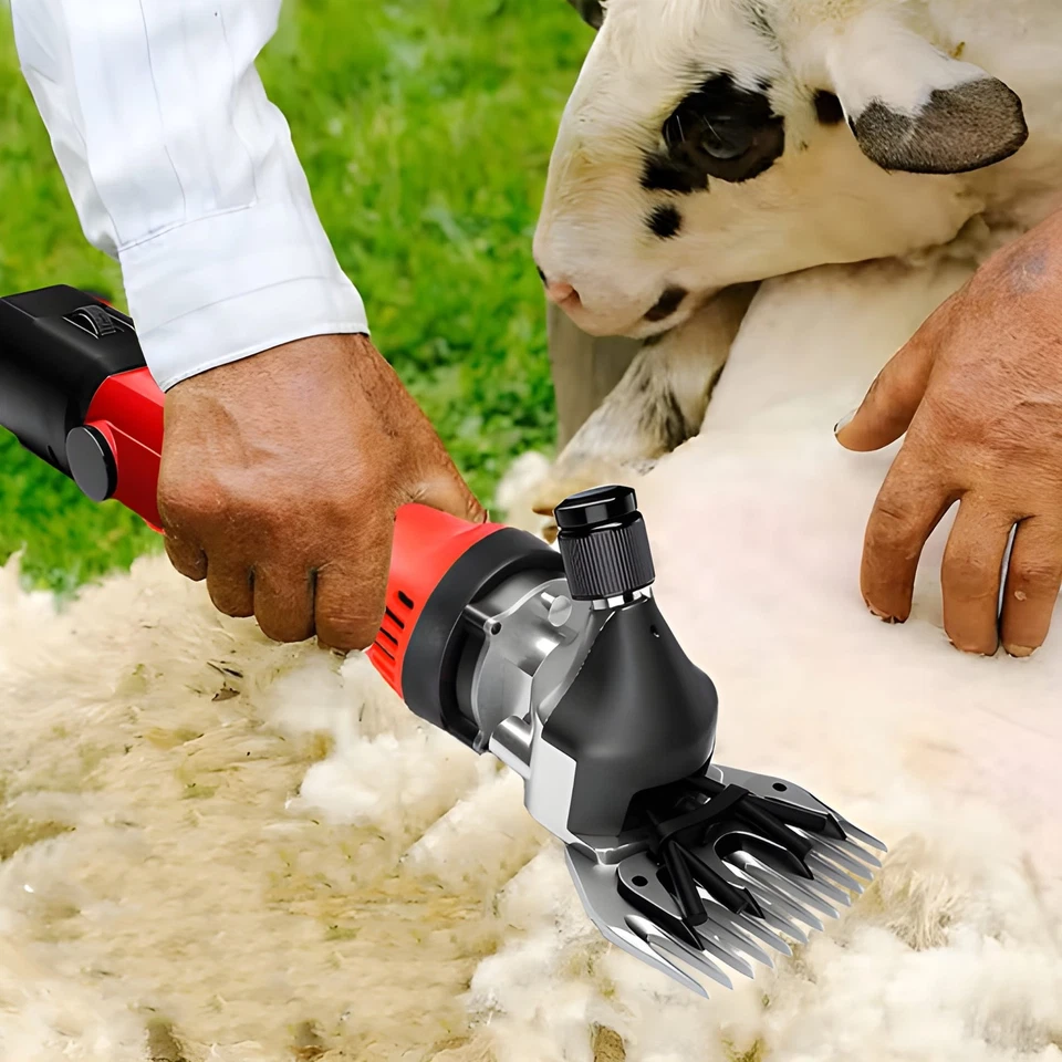 Tosapecore Tosatrice Elettrica Professionale per Pecore Capre Lama Alpaca con Mo - Imagen 3 de 4