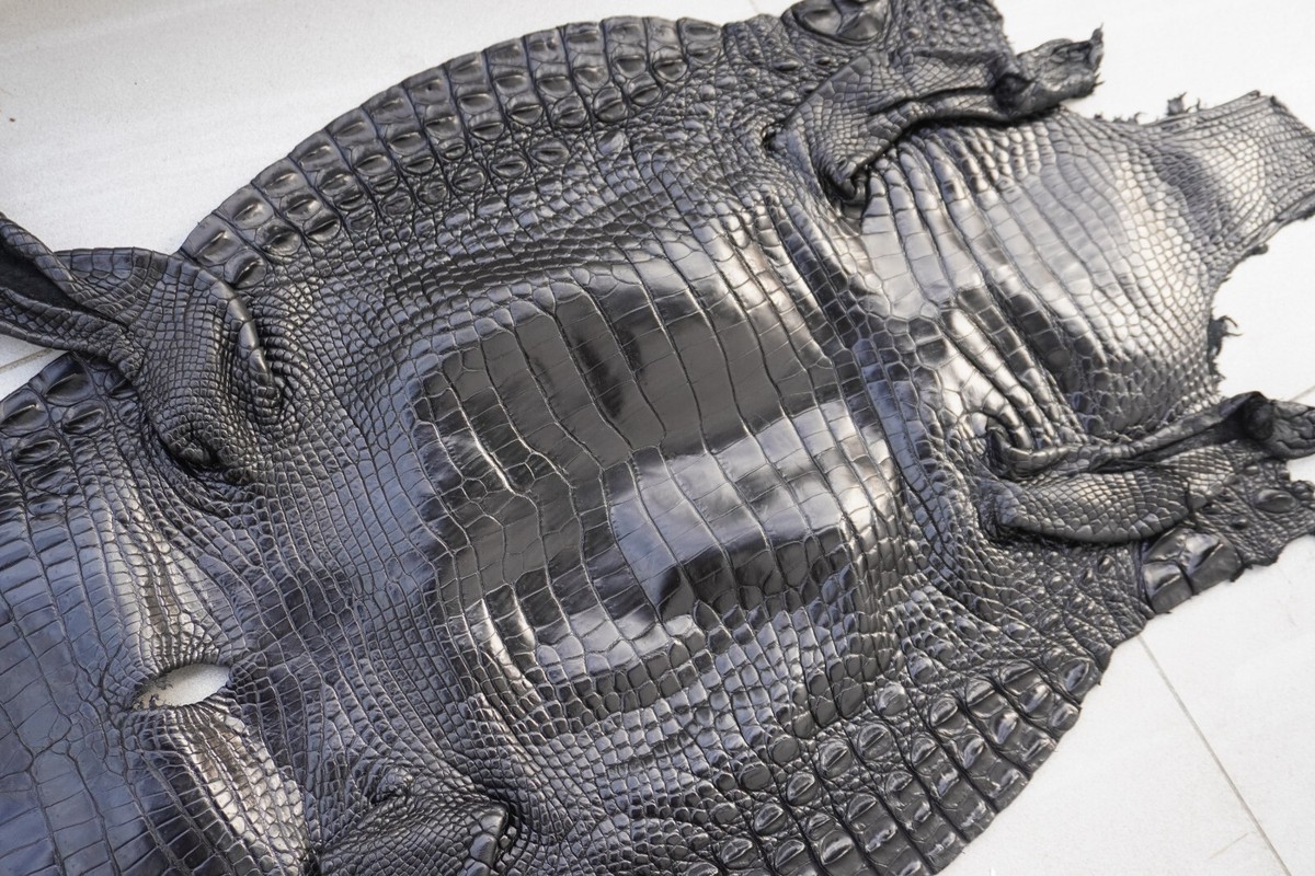 GENUINE CROCODILE SKIN クロコダイル 特注⭐️ Black Genuine Crocodile Skin Leather Hide Exotic Pelt taxidermy