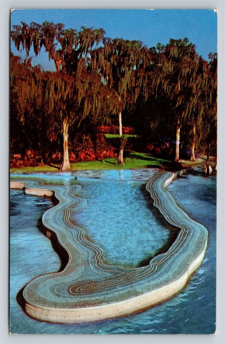 R\u0026B+ソウル Esther Williams LD287 1957 Original Photo DUAL PERSONALITY Esther Williams