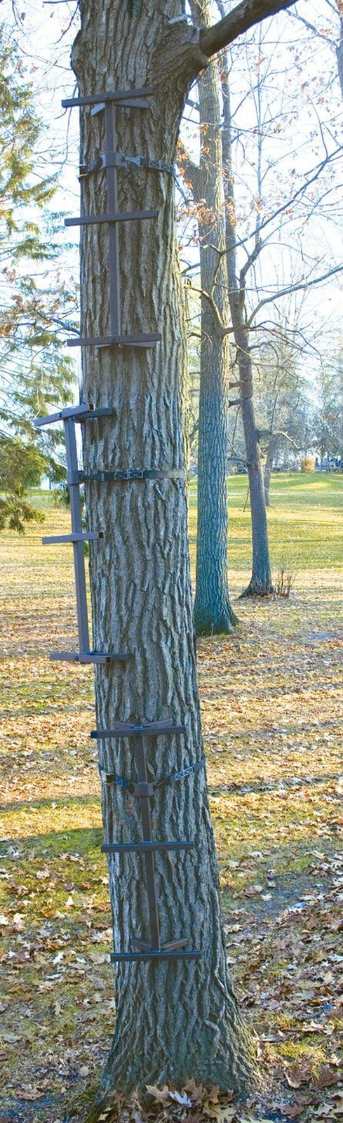 Quick Tree Climbing Sticks 8’ Aider Ladder Steps for Treestands Hunting 3 Pack